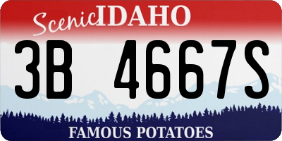 ID license plate 3B4667S
