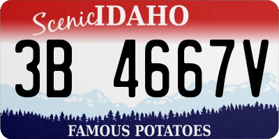 ID license plate 3B4667V