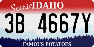 ID license plate 3B4667Y