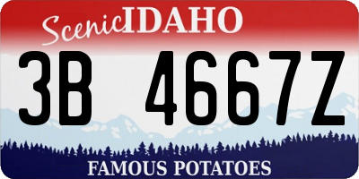 ID license plate 3B4667Z