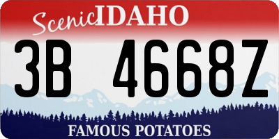 ID license plate 3B4668Z