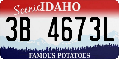 ID license plate 3B4673L