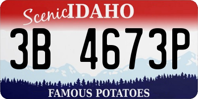 ID license plate 3B4673P