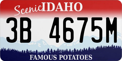 ID license plate 3B4675M