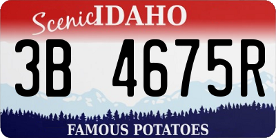 ID license plate 3B4675R