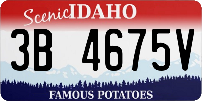 ID license plate 3B4675V