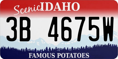 ID license plate 3B4675W