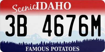 ID license plate 3B4676M