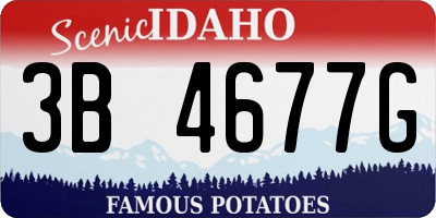 ID license plate 3B4677G
