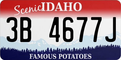 ID license plate 3B4677J