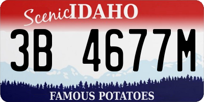 ID license plate 3B4677M