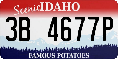 ID license plate 3B4677P