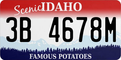 ID license plate 3B4678M