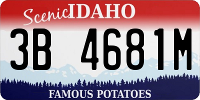 ID license plate 3B4681M