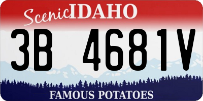 ID license plate 3B4681V