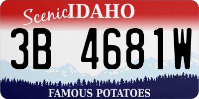 ID license plate 3B4681W