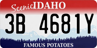ID license plate 3B4681Y