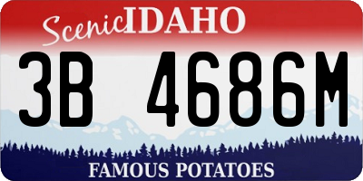 ID license plate 3B4686M