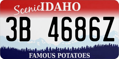 ID license plate 3B4686Z