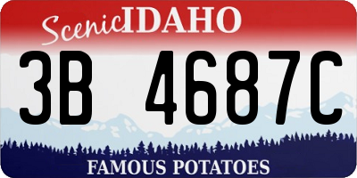 ID license plate 3B4687C
