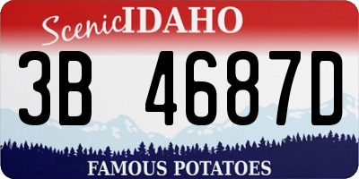 ID license plate 3B4687D