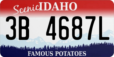 ID license plate 3B4687L
