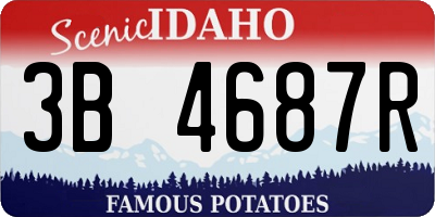ID license plate 3B4687R