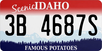 ID license plate 3B4687S