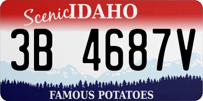 ID license plate 3B4687V
