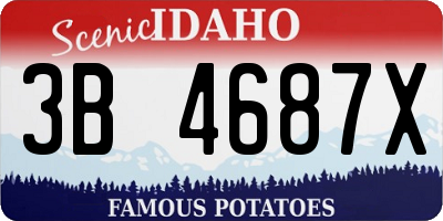 ID license plate 3B4687X
