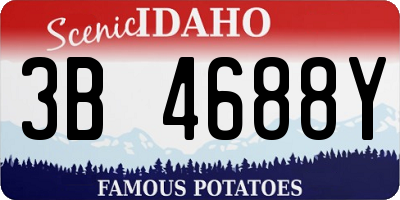 ID license plate 3B4688Y