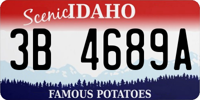 ID license plate 3B4689A