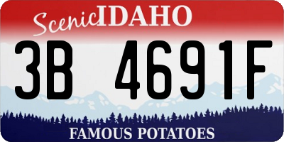 ID license plate 3B4691F