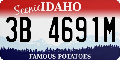 ID license plate 3B4691M