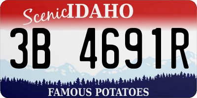 ID license plate 3B4691R