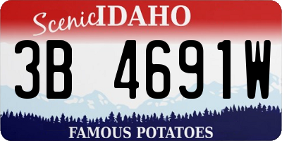 ID license plate 3B4691W