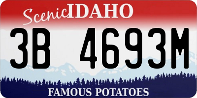 ID license plate 3B4693M