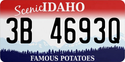 ID license plate 3B4693Q