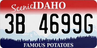 ID license plate 3B4699G