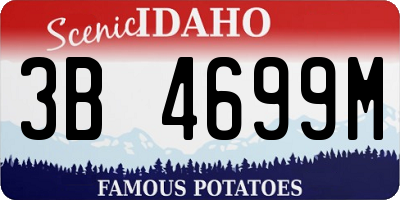 ID license plate 3B4699M