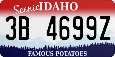 ID license plate 3B4699Z