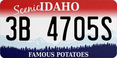 ID license plate 3B4705S