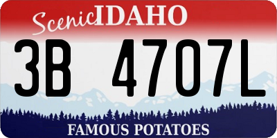 ID license plate 3B4707L