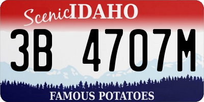 ID license plate 3B4707M