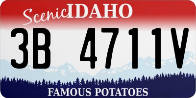 ID license plate 3B4711V