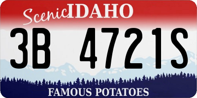 ID license plate 3B4721S