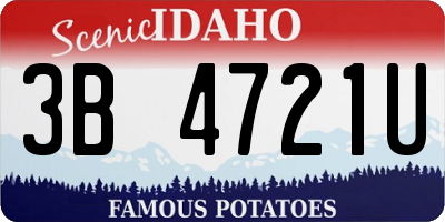ID license plate 3B4721U