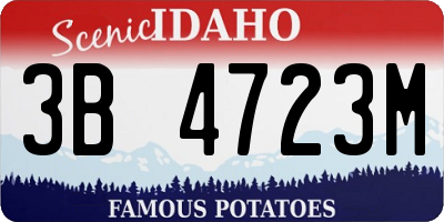 ID license plate 3B4723M