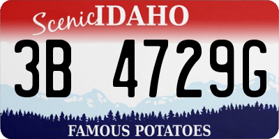 ID license plate 3B4729G