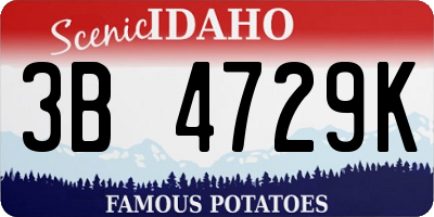 ID license plate 3B4729K